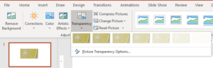 Transparency command on teh Picture Format tab in PowerPoint.